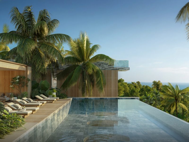 Gallery Gardens of Eden — photo 15